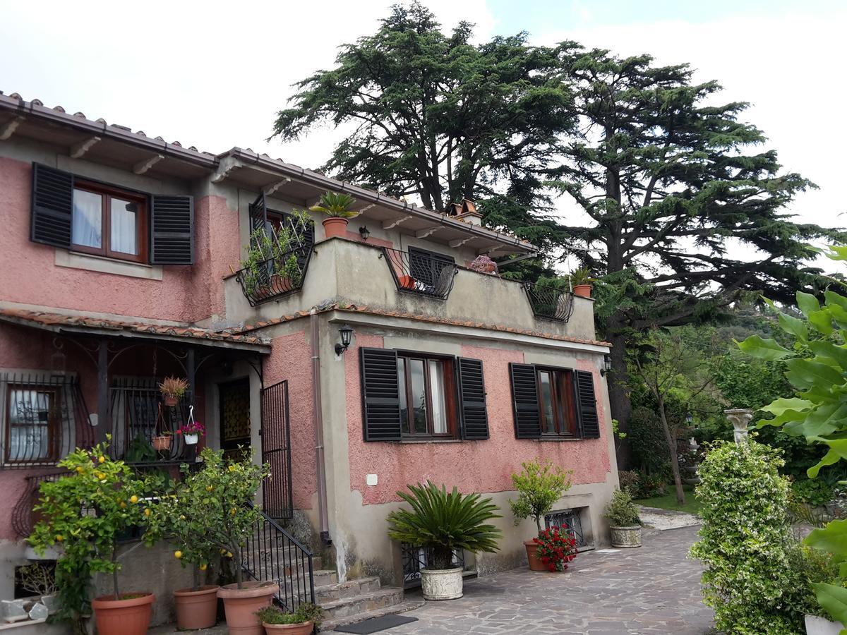 Bed&Breakfast "Fiorella" Sul Lago カステル・ガンドルフォ エクステリア 写真